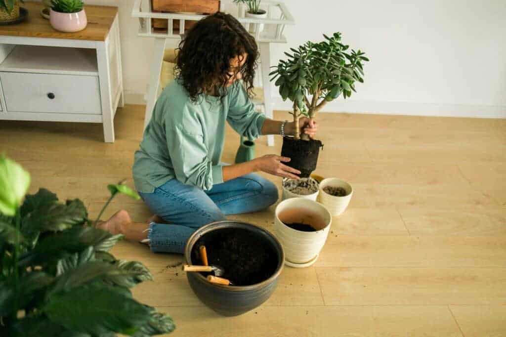 Smiling young woman and pot with plant happy work in indoor garden or cozy home office with